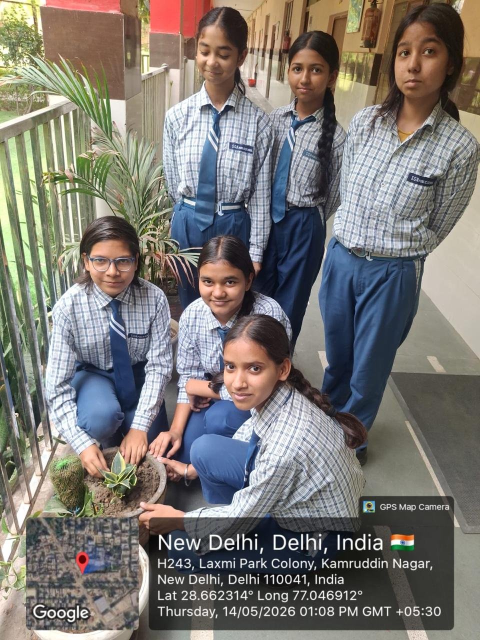 Tree Plantation